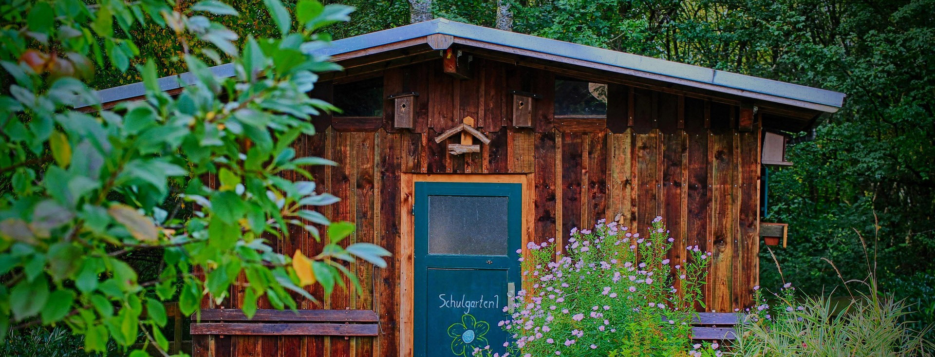 Abri De Jardin 1 Abri De Jardin -Abri De Jardin school 4971178 1920